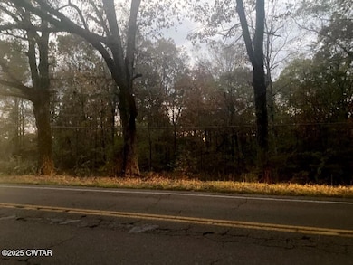 0 Natchez Trace Dr, Lexington, TN 38351 - photo 3