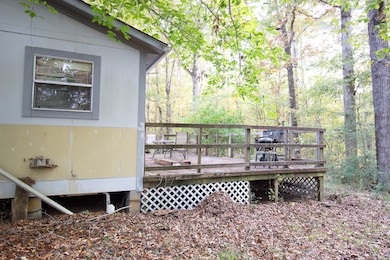 8.5 AC +/- Tbd Cr 319, Broaddus, TX 75929 - photo 4