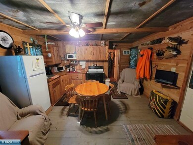 9298 Hingeley Rd, Meadowlands, MN 55765 - photo 7