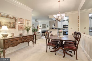 11306 Westbrook Mill Ln unit 203, Fairfax, VA 22030 - photo 7