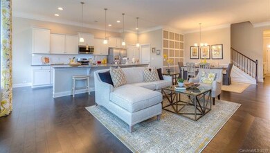 0 Robinwood Rd unit 259 3473353, Lake Wylie, SC 29710 - photo 7