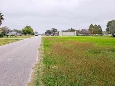 1 Hal Mclain Rd, Manvel, TX 77578 - photo 5