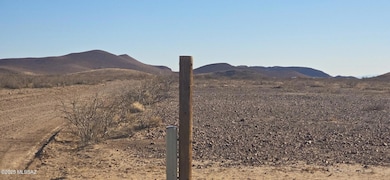 TBD 40 Acres Tyree Rd unit 118, Pearce, AZ 85625 - photo 5