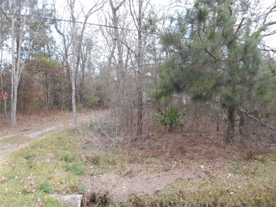 694 County Road 414, Dayton, TX 77535 - photo 2