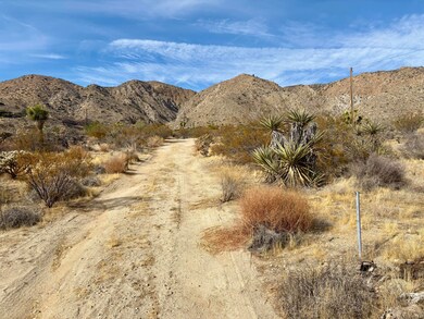 IMG_4407