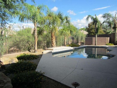 Backyard Pool