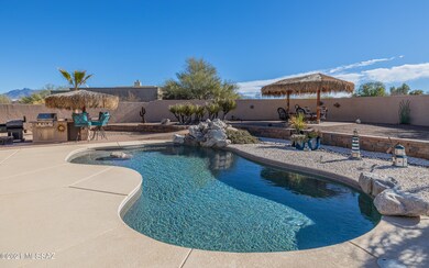 Resort Style Back Yard