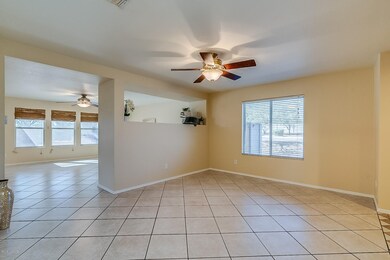 Solar Screens on Windows