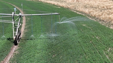 45533 County Road 38 9, Trinidad, CO 81082 - photo 3