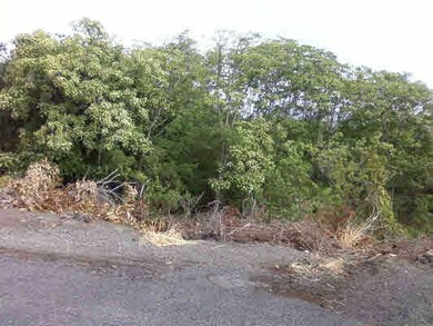 0 Paradise Pkwy unit 254335, Ocean View, HI 96737 - photo 7