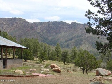 676 W Forest Dr, Payson, AZ 85541 - photo 3