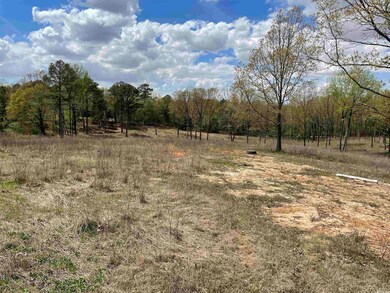 157 Greene 705 Rd, Jonesboro, AR 72401 - photo 7