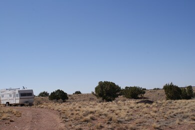 DSC08816