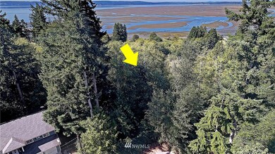 0 XXX 94th Dr, Stanwood, WA 98292 - photo 4