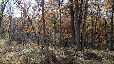 35 Doe Ave, Drakesville, IA 52552 - photo 5