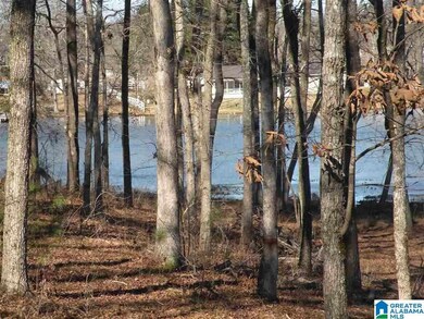 0 Castaway Rd unit Lot 101 1270975, Sylacauga, AL 35151 - photo 3