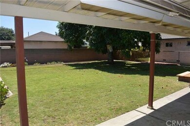 Back Yard from patio area