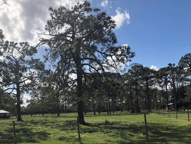 7120 Amesbury Ave, Cocoa, FL 32927 - photo 2