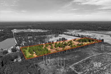 15685 Louis Cooper Rd, Bay Minette, AL 36507 - photo 5