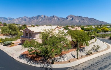 CORNER ELEVATED LOT