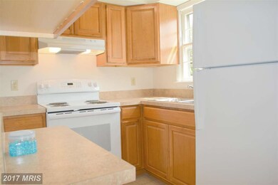 334 W 10th St, Front Royal, VA 22630 - photo 5