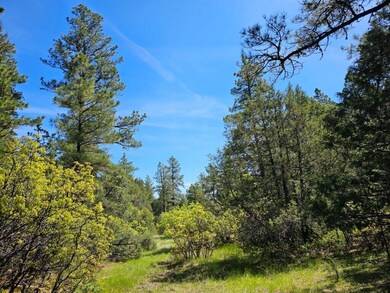 0 Chipmunk Dr unit B46 23-635, Trinidad, CO 81082 - photo 3