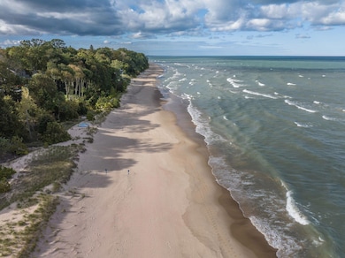 15820 Lakeshore Rd unit B, Union Pier, MI 49129 - photo 6