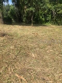 Owner has had lot partially cleared.