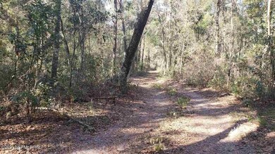 255 Indian Lakes Forest Rd, Florahome, FL 32140 - photo 2