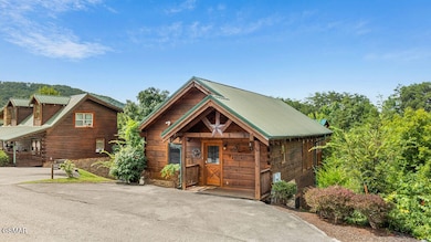 3229 White Falcon Way, Pigeon Forge, TN 37863 - photo 4