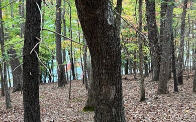 Additional View