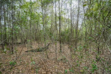 0 County Road 4322 Holly St, Dayton, TX 77535 - photo 7