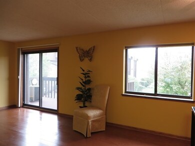 103 Caterpillar Dr unit 2C, Joliet, IL 60436 - photo 4