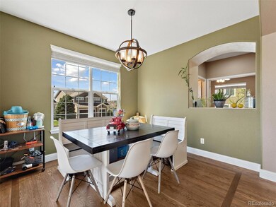 7869 Solstice Way, Castle Rock, CO 80108 - photo 6