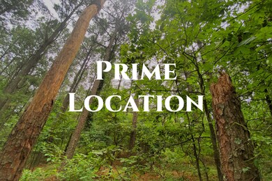 0000 Sugarberry Trail, Hochatown, OK 74728 - photo 3