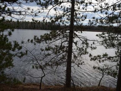 Lot 3 Forrester Rd, Tripoli, WI 54564 - photo 5