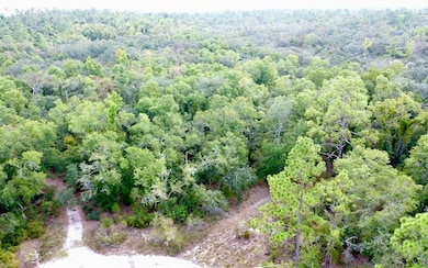 TBD Suw Park Lots 18-22, Live Oak, FL 32060 - photo 3