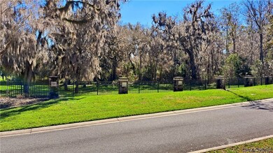 2293 N Heritage Oaks Path, Hernando, FL 34442 - photo 7