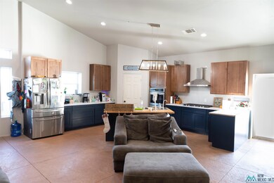 1335 Mcfarland Rd, Carlsbad, NM 88220 - photo 4