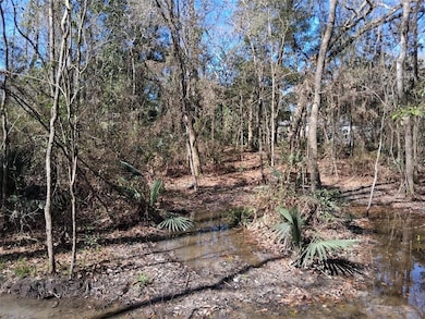 View of local wilderness