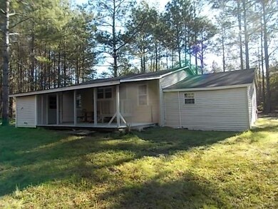 Back View