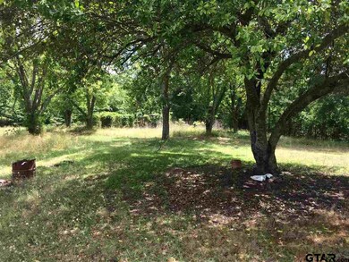 10811 Fm 3226, Arp, TX 75750 - photo 5