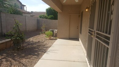 Backyard 3