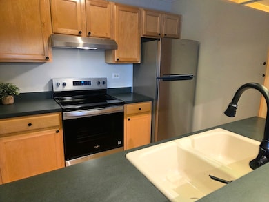 511 Aurora Ave unit 108, Naperville, IL 60540 - photo 7