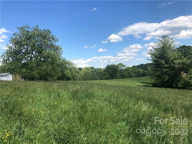 99999 Ridge Rd, Asheville, NC 28806 - photo 6