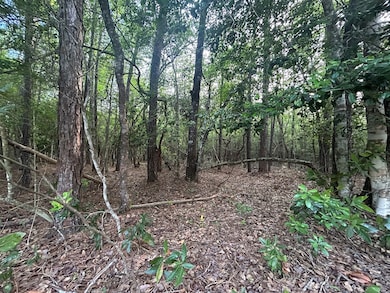 Lot 8 & 9 E Wildwood Dr, Wildwood, TX 77664 - photo 3