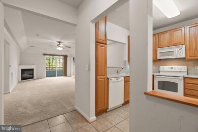 7315 Maplecrest Rd unit UT304, Elkridge, MD 21075 - photo 4