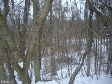 0 Lincoln Way W unit 1000118750, Fort Loudon, PA 17224 - photo 5