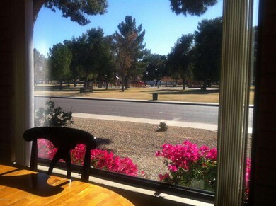 View from Dining Room Window