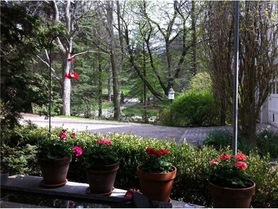 View. This view is from the small porch which is a